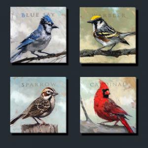 Blue Jay, Warbler, Sparrow, Cardinal