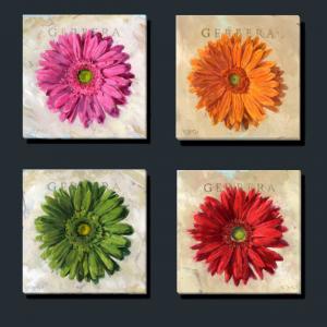 Gerbera Daisies